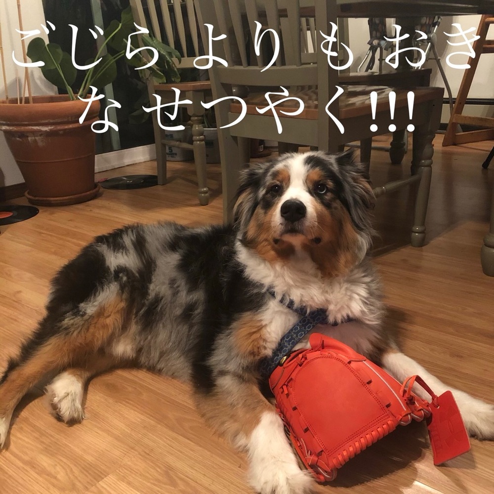 Meet your Posher, Buff Dickman